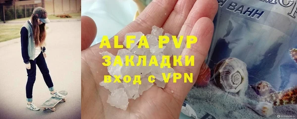 стаф Балахна