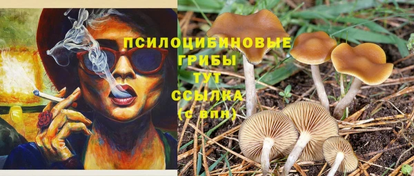 дмт Балабаново