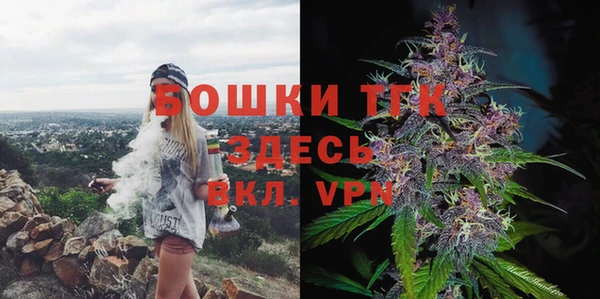стаф Балахна