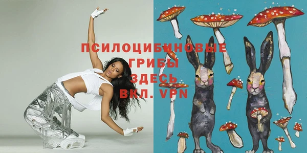 стаф Балахна