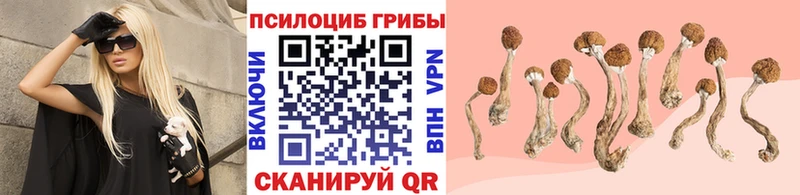 Псилоцибиновые грибы мухоморы  Горбатов 